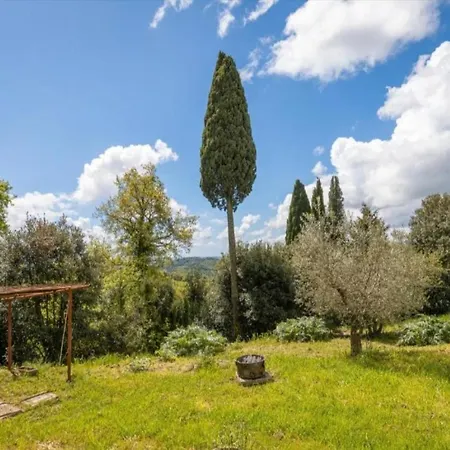 Podere Vinciguerra 39