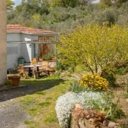 Casa vacanze Podere Vinciguerra 39 Serrazzano