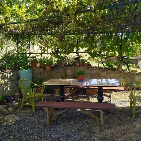 Podere Vinciguerra 39 Serrazzano