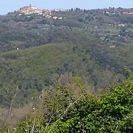 Podere Vinciguerra 39 Casa vacanze Serrazzano