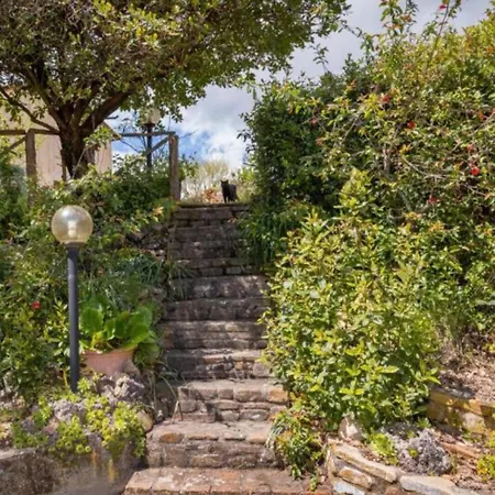 Casa vacanze Podere Vinciguerra 39 Serrazzano